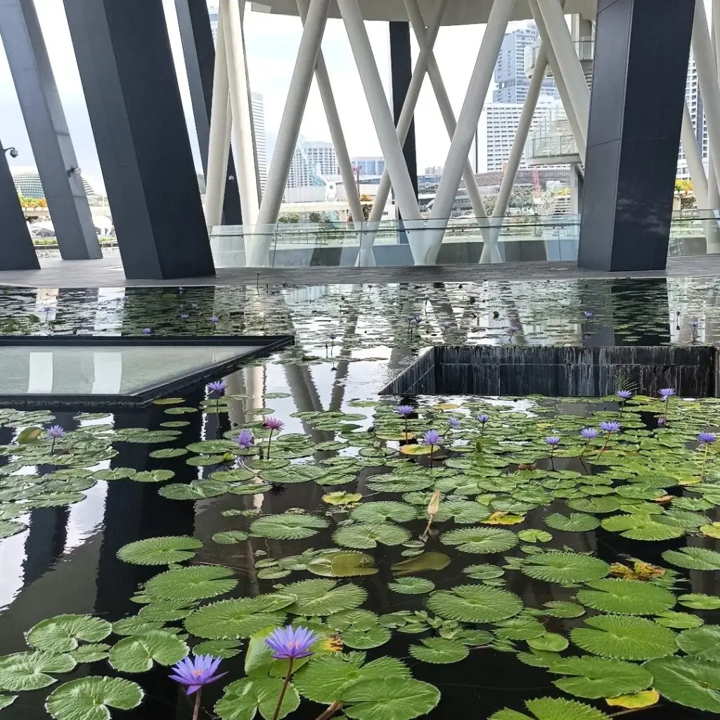 Hotei_Discover Singapore01